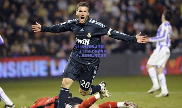 爱游戏|CBA季后赛激战正酣，辽宁广东上演巅峰对决，新锐球队异军突起