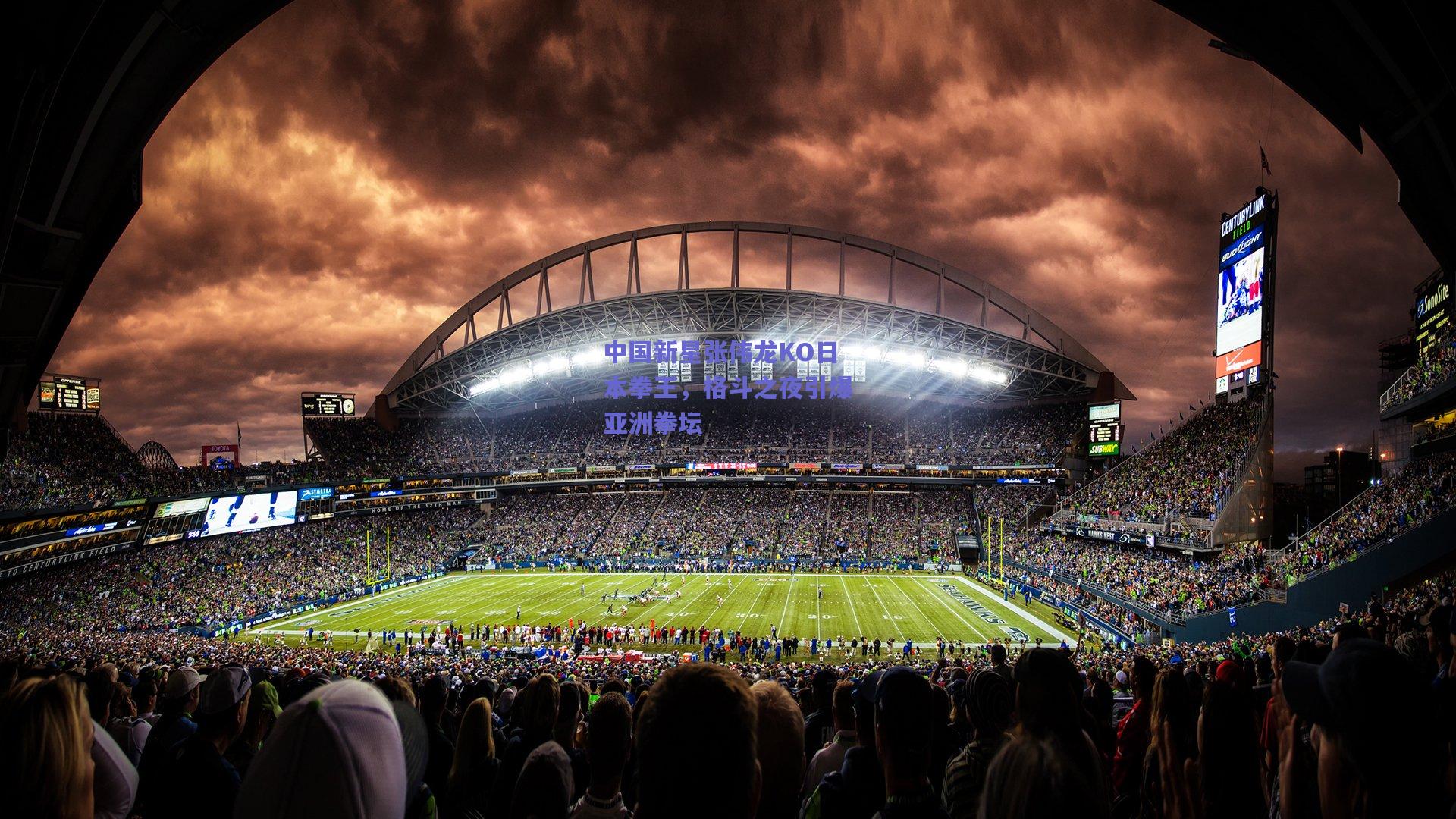 中国新星张伟龙KO日本拳王，格斗之夜引爆亚洲拳坛